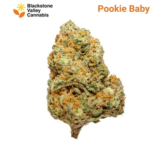 Pookie Baby Blackstone Valley Cannabis