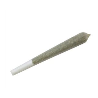 Mr. Gmo The Joint Company