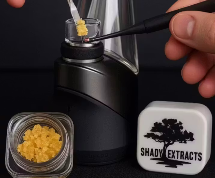 MSG Shady Extracts MSG Shady Extracts