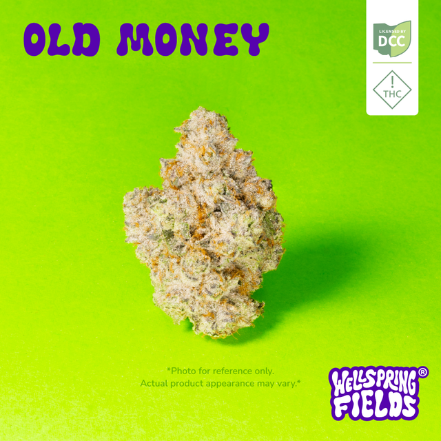 Old Money  Wellspring Fields
