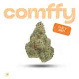 Early Bird