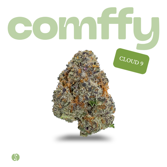 Cloud 9  comffy