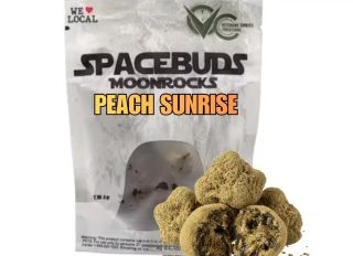 Peach Sunrise Space Buds