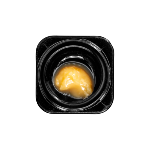 Mango Kush Alchemy Mango Kush Alchemy