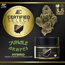 Jungle Grapes Select Certified