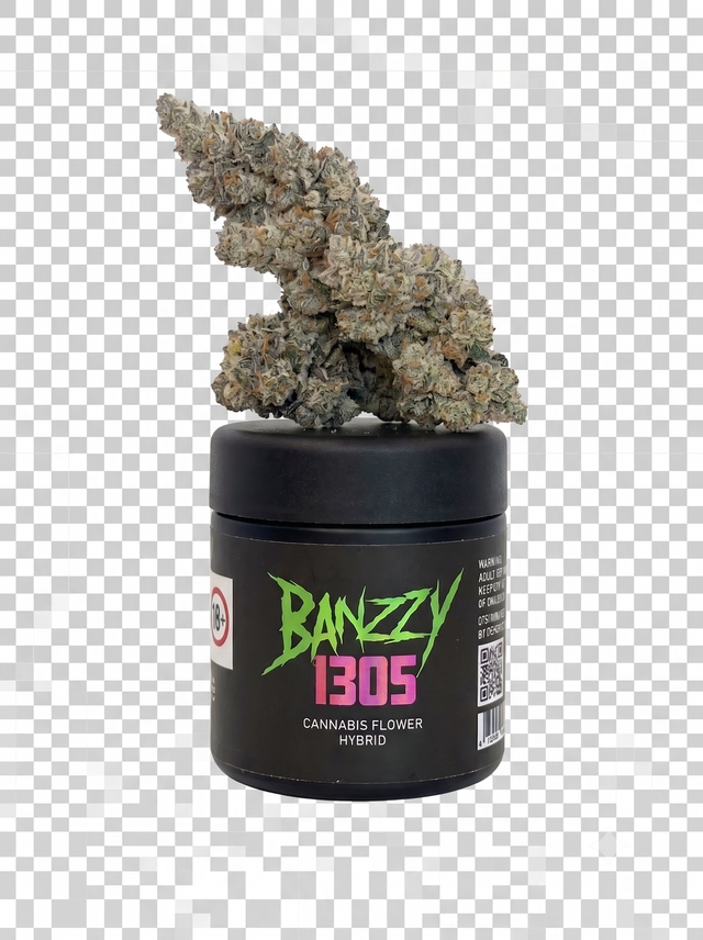 Ivory 1305 Banzzy Ivory 1305 Banzzy