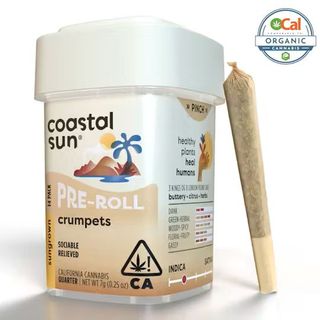 Crumpets OCAL Sungrown 14 Pack Coastal Sun