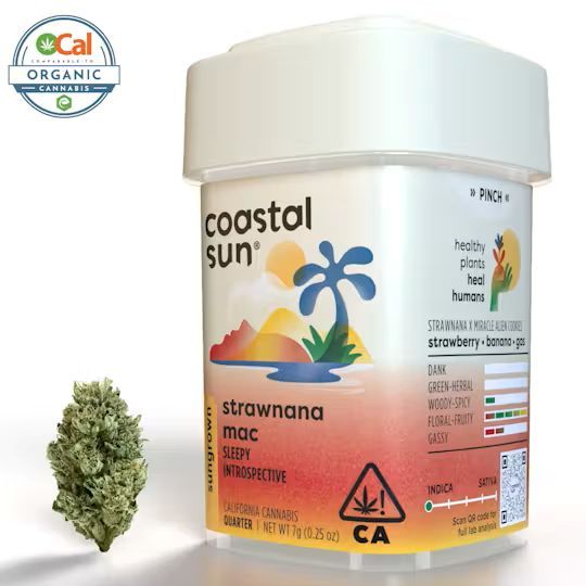 Strawnana Mac OCAL Sungrown Coastal Sun