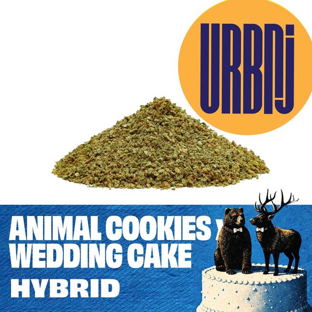 Animal Cookies x Wedding Cake URBNJ