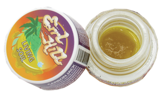 Cannabis Promo, Cannabis Sales, Cannabis Discounts, Cannabis on Sale, 40% Errl Hill Daily 1