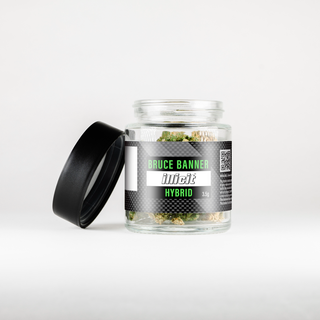 Bruce Banner Illicit