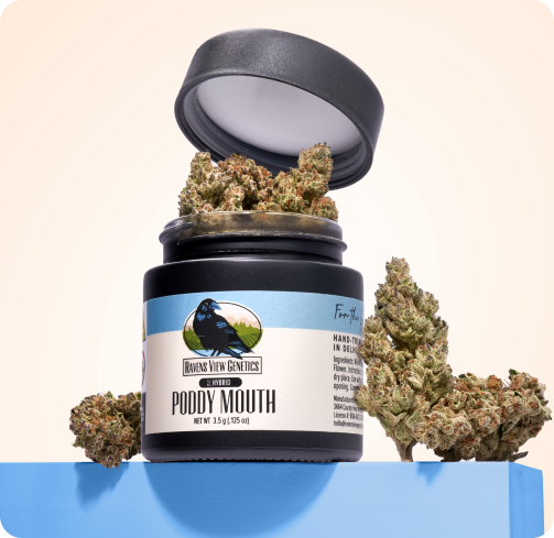 Ravens View Poddy Mouth 3.5g Raven's View Genetic