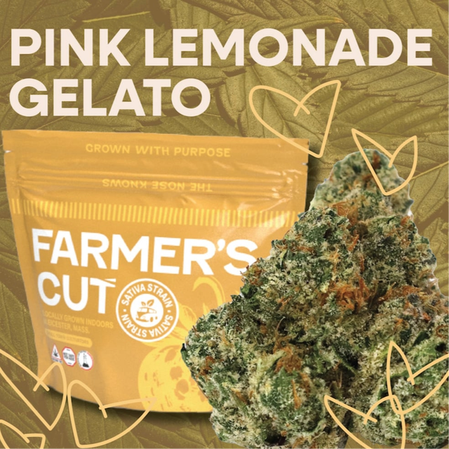 Pink Lemonade Gelato Farmer's Cut