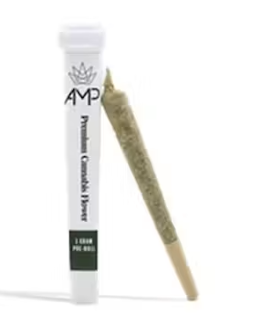 Glue AMP