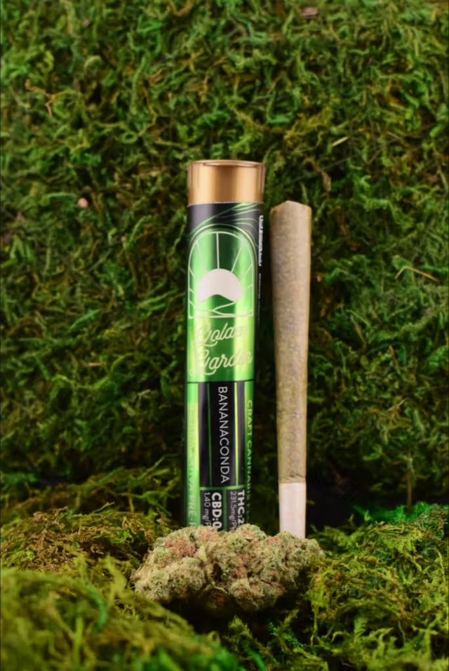 Bananaconda 1g Pre-Roll SATIVA Golden Garden