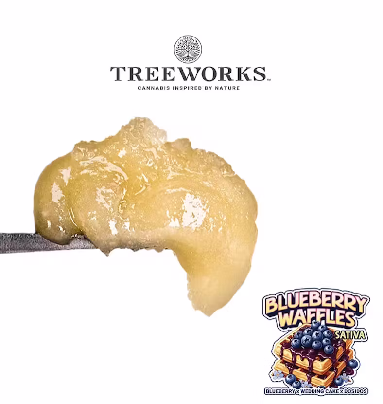 Blueberry Waffle 1G Solventless Live Rosin Treeworks