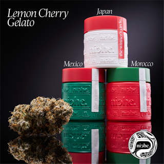 Lemon Cherry Gelato Niche