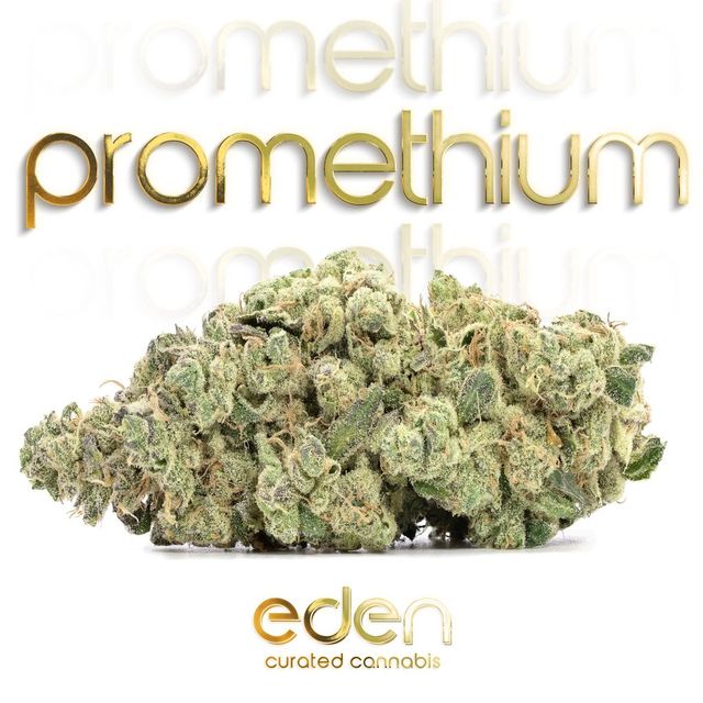 Promethium ShMediums