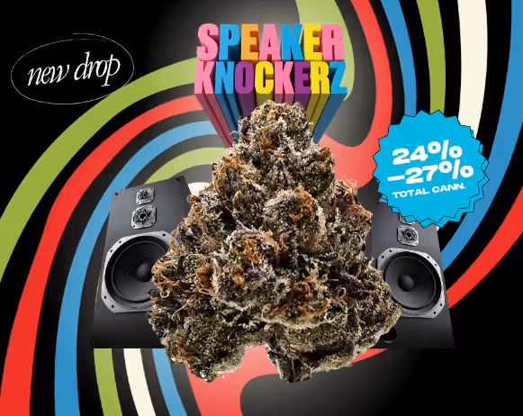 Speaker Knockerz Stoner Village