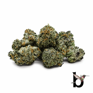 Super Gelato Haze Binske