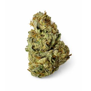 Rainbow Gelato SP Farms