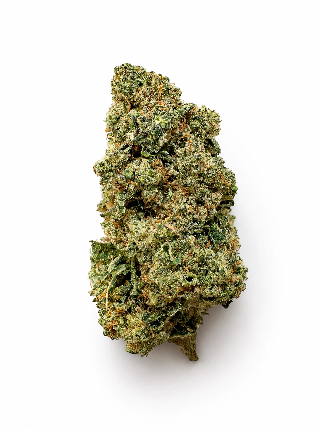 Sour Diesel SP Farms