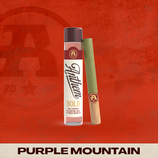 Bold - Purple Mountain Wood Tip Anthem