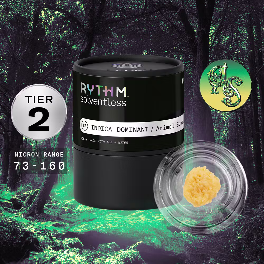 Animal Face x Animal Scout (Tier 2) Solventless Rythm
