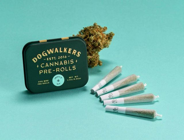 Mystic Mint Dogwalkers