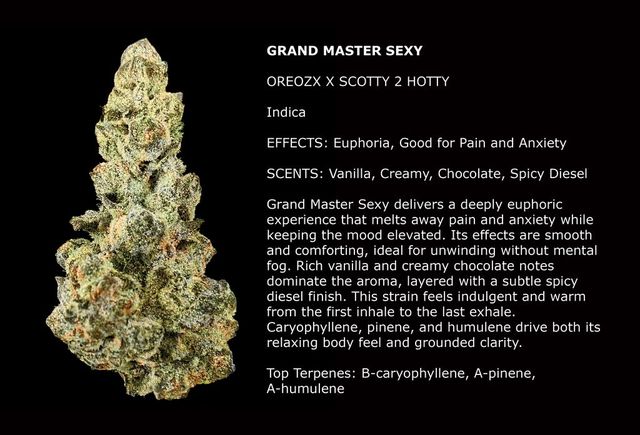 Grand Master Sexy 1/2 Zip Grand Master Sexy 1/2 Zip