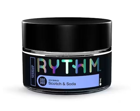 Scotch & Soda Rythm