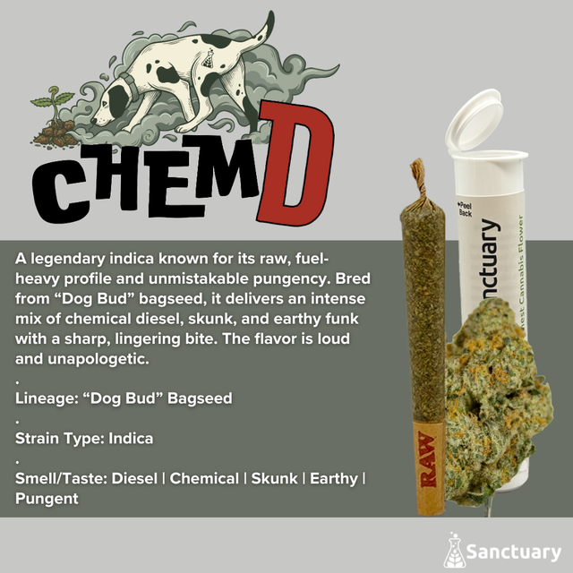 Chem D Sanctuary