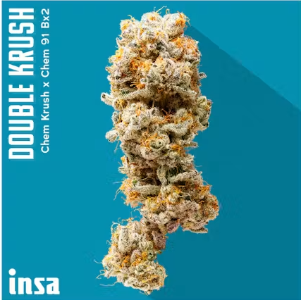 Double Krush Insa