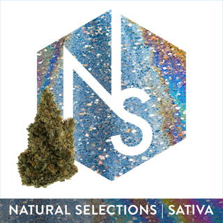 Sour Gak Natural Selections