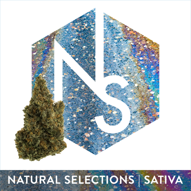 Sour Gak Natural Selections Sour Gak Natural Selections