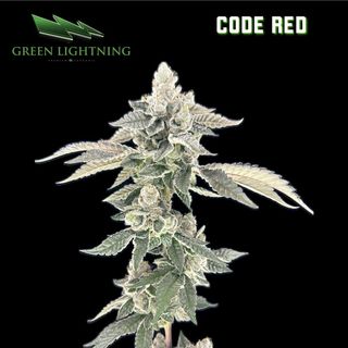 Cannabis Promo, Cannabis Sales, Cannabis Discounts, Cannabis on Sale, 2 For $60 Green Lightning 3