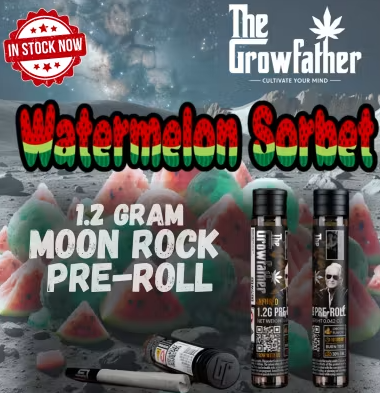 Frozen Watermelon Sorbet Moonrock The Growfather