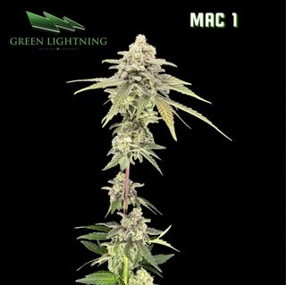 Mac 1 Green Lightning