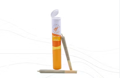 Orange Sunshine 2 Pack Hillview Farms