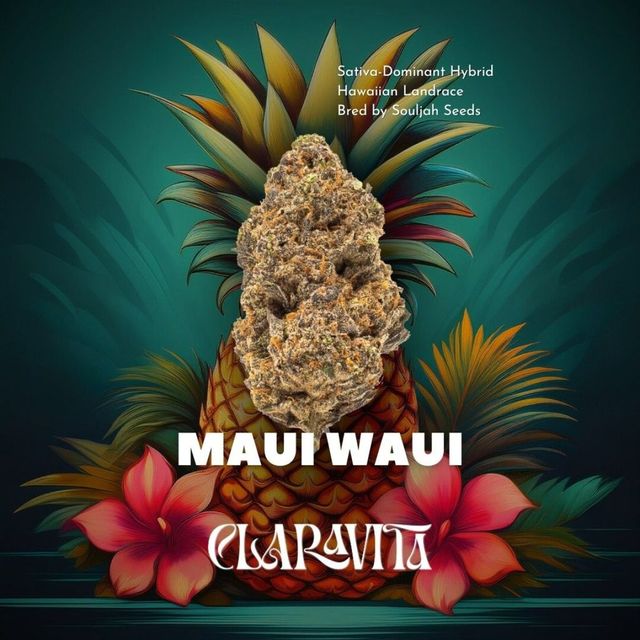 Maui Waui  Claravita