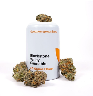 Amnesia Haze Blackstone Valley