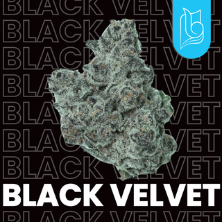 Cannabis Promo, Cannabis Sales, Cannabis Discounts, Cannabis on Sale, Blugrass $100 Quarter 1