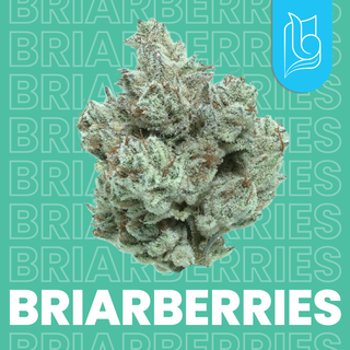 Cannabis Promo, Cannabis Sales, Cannabis Discounts, Cannabis on Sale, Blugrass $100 Quarter 2