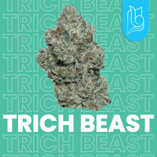 Cannabis Promo, Cannabis Sales, Cannabis Discounts, Cannabis on Sale, Blugrass $100 Quarter 3