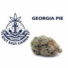 Georgia Pie  Out East Canna
