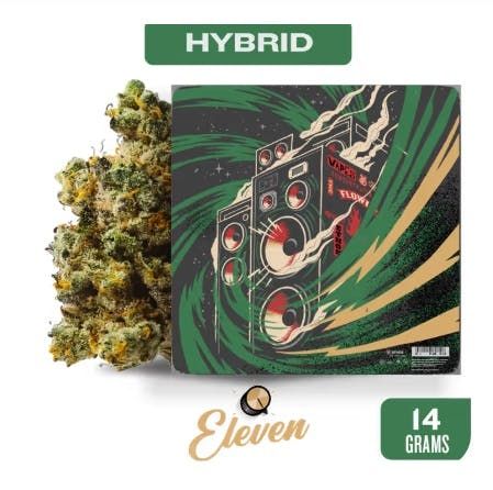 Offendo Eleven