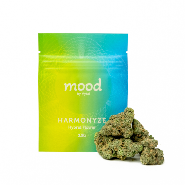 Grandaddy Durban mood