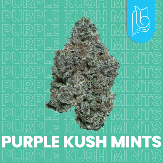 Purple Kush Mints Blugrass