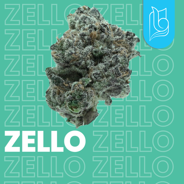 Zello Blugrass