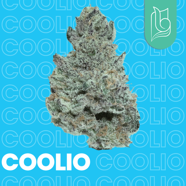 Coolio Blugrass